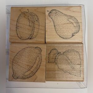 CTMH Natures Delights fruit rubber stamps
